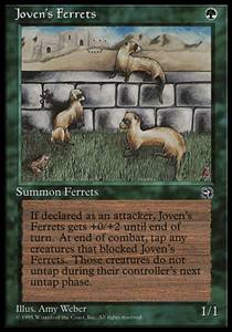 Joven’s Ferrets