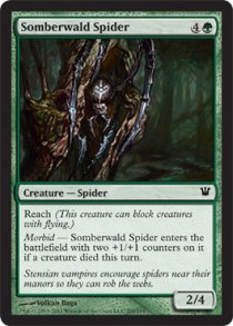 Somberwald Spider