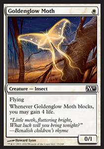 Goldenglow Moth