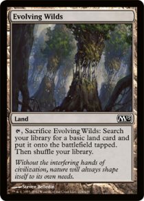 Evolving Wilds