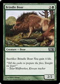 Brindle Boar