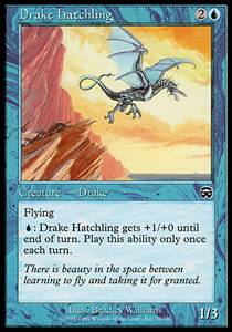 Drake Hatchling