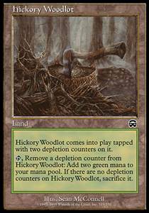 Hickory Woodlot