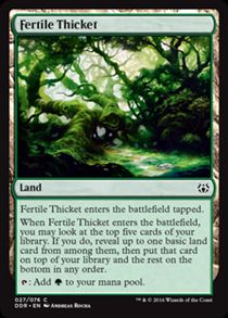 Fertile Thicket