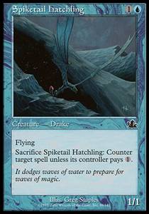 Spiketail Hatchling