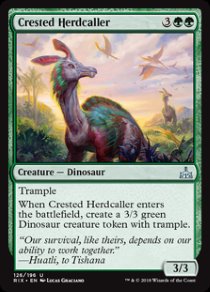 Crested Herdcaller