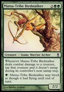 Matsu-Tribe Birdstalker