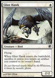 Glint Hawk