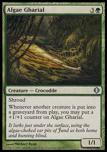 Algae Gharial