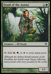 Druid of the Anima