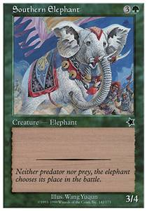 Southern Elephant