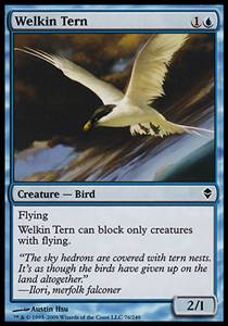 Welkin Tern