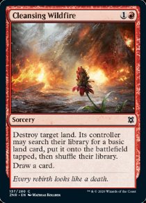 Cleansing Wildfire