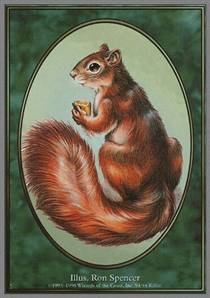 Squirrel token